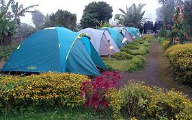 The Gate Rinjani